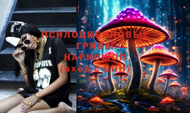 Галлюциногенные грибы MAGIC MUSHROOMS  Петропавловск-Камчатский 